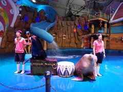 -烟台海昌鲸鲨海洋公园