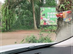 -海南热带野生动植物园