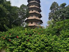-乌山风景区