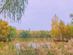 -西安浐灞国家湿地公园