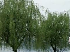 -池州市平天湖风景区