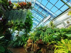 -国家植物园南园