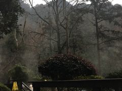 -宁海森林温泉