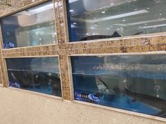 -大河宴·椒麻鱼火锅(米东区店)