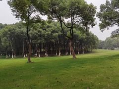 -新洲生态园