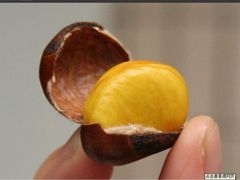 加顺土特产（溧阳板栗合作社）-加顺农场餐厅