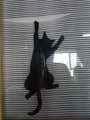 -IDEA·艾蒂尔科技美肤·日式美甲美睫集合店