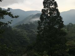 -林坑古村落