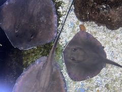 -南昌海洋公园