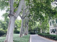 -河南省黄河迎宾馆