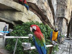 景点-上海欢乐谷