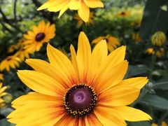 -长春公园(普阳街道)