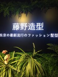 点击看大图 -藤野造型