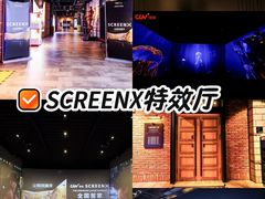 -CGV影城(壹方城IMAX店)