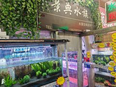 -宝鸡东道花鸟鱼虫市场(吉利花园商场店)