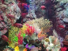 -太平洋海底世界