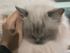 -听TA说宠咖·宠物生活馆(天韵水岸店)