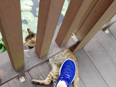 -苏州河梦清园环保主题公园