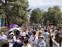 -昆明动物园