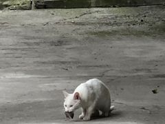 -哈尔滨北方森林动物园