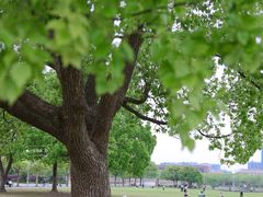 -上海交通大学闵行校区-包玉刚图书馆