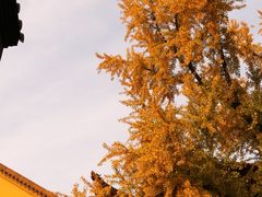 -宝通禅寺