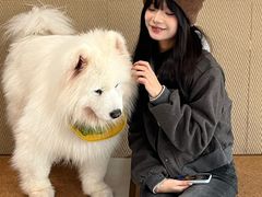 -星多哈·狗咖·拼豆·咖啡