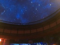 -济南方特东方神画