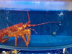 -香宫中餐厅·大连香格里拉(人民路店)