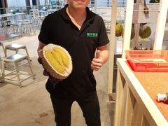 -都念榴莲·城市榴莲