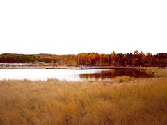 -塞罕坝国家级自然保护区