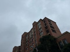 -杭州绿城育华亲亲学校