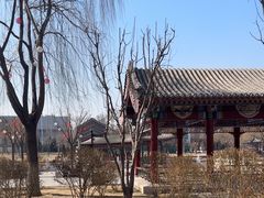-西海子公园