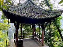 -凤栖山