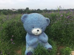 -大塘金香草谷