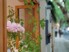 -古董花园(思南路42弄小区店)