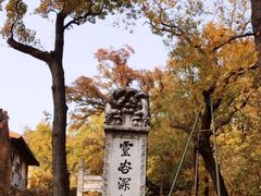 -灵谷景区