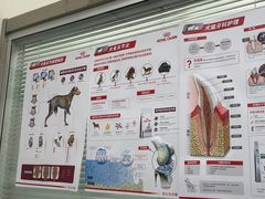 -心仪动物医院·牙专科·肿瘤·心脏科(西客站院)