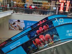 -盒马鲜生(双清路店)