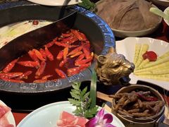 -袁老四重庆老火锅(桐梓坡店)