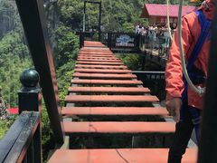 -梦幻奥陶纪景区