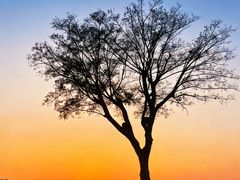 -东钱湖旅游度假区