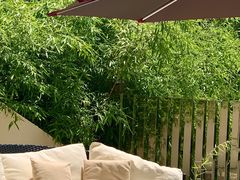 -莫内艺术岛海景咖啡