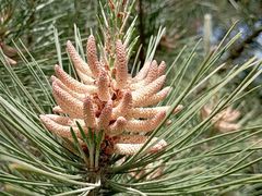 -渭河城市绿地运动公园