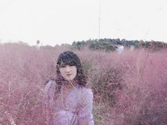 -大塘金香草谷