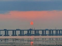 -宝安西湾红树林湿地公园