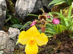 -国家植物园南园