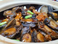 -欢乐海岸美食联盟