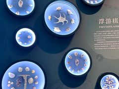 -中国湿地博物馆