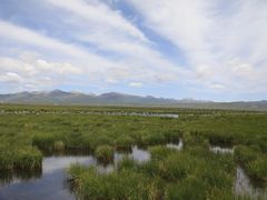 -花湖生态旅游区